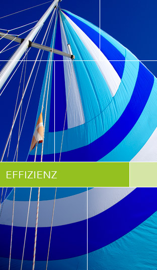 Effizienz